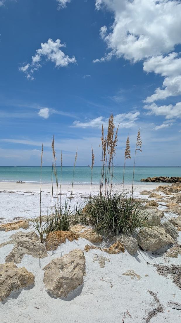 Strandhafer und Felsen am Strand